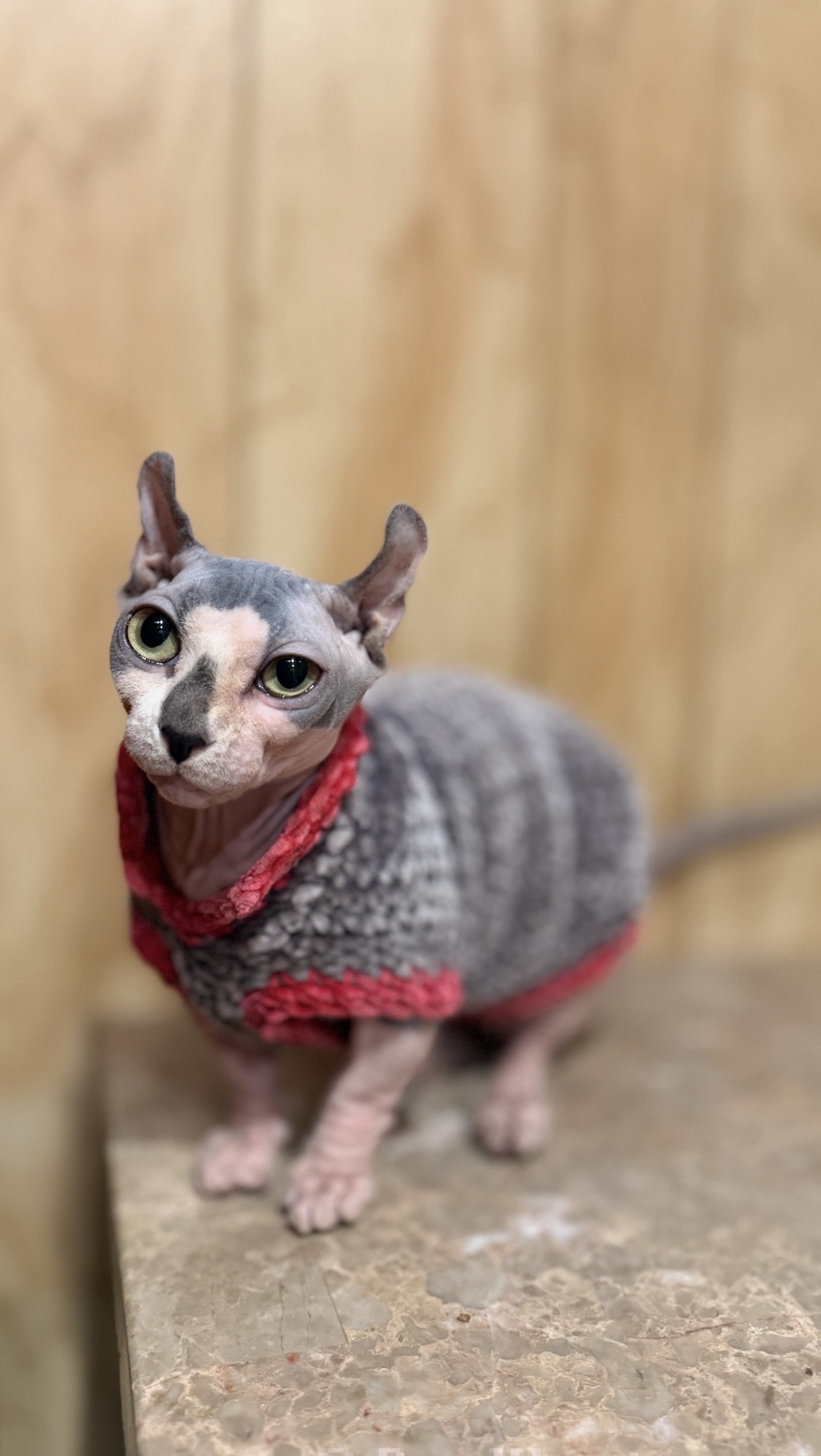 descriptive text here